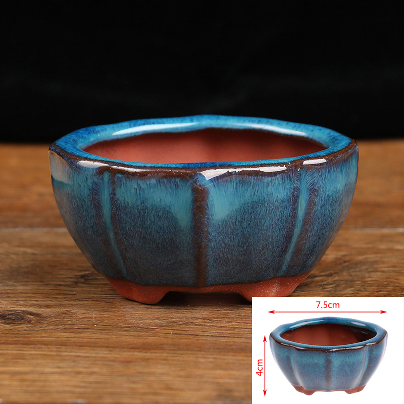 Bonsai Garden Chinese Garden - Mini Pot de fleurs bonsaï en